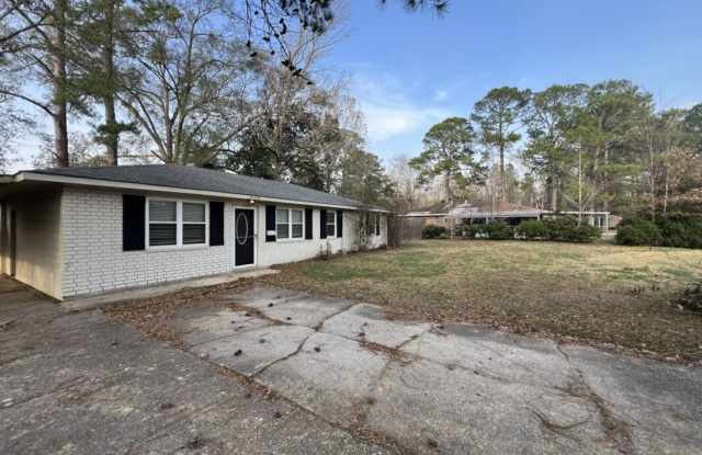 Newly renovated! 3 bedroom, 2 bath home in Prairieville - 41158 2nd Colonial Street, Prairieville, LA 70769