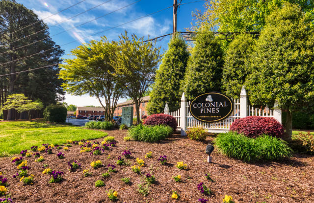 Colonial Pines Gallery 2