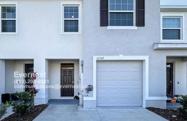 32547 Turtle Grace Lp photos photos