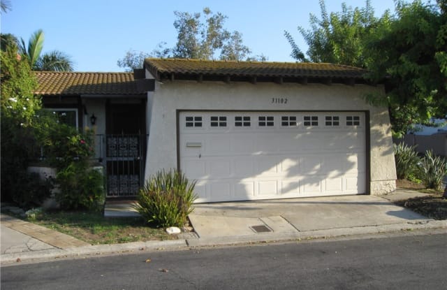 31102 Calle Santa Rosalia - 31102 Calle Santa Rosalia, San Juan Capistrano, CA 92675