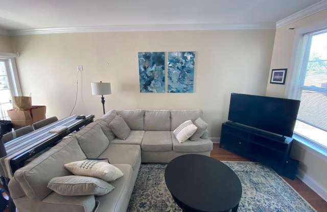 520 YOUNG Street Gallery 4