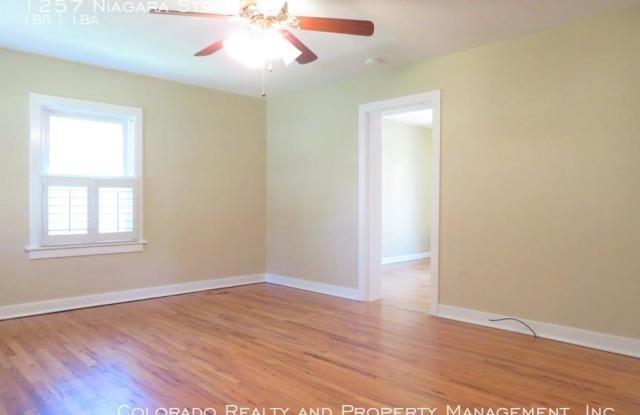 1257 Niagara Street Gallery 4