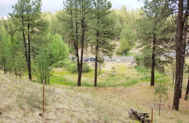 2735 RED FIELD Trail Gallery 4