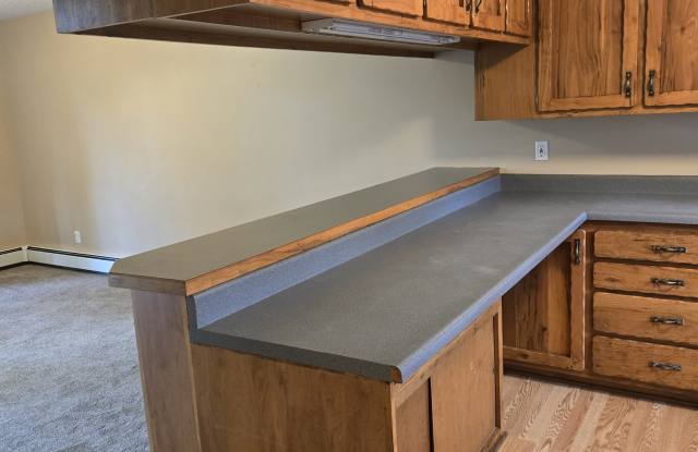 1841 Kedron Circle - 1 Gallery 4