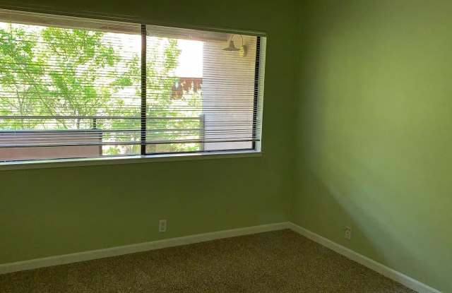 39219 Guardino Dr Gallery 3