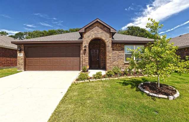 650 Langdon Street - 650 Langdon St, Lavon, TX 75166
