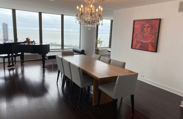 505 North Lake Shore Drive Gallery 2