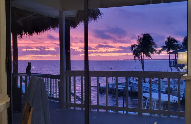 222 Bristol Court photos photos 222 Bristol Court photos photos