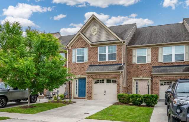 8954 Ringview Drive photos photos
