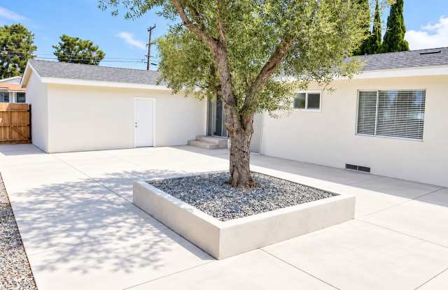 Rare 4-Bedroom, 4-Bathroom Home Near Campus with a Great Courtyard! Gallery 2