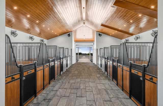 5181 Lasso Way photos photos