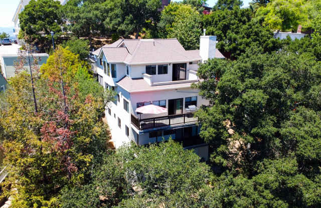 Beautiful Home in the Oakland Hills with views! photos photos