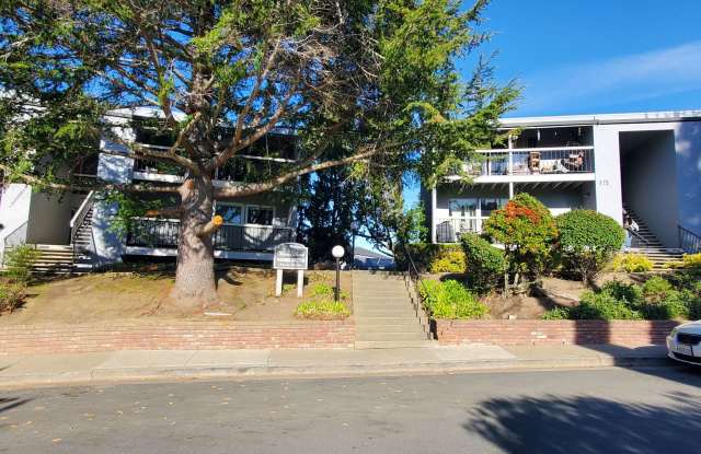 Spacious 2 Bedroom, 1 Bathroom Moraga Condo - 1969 Ascot Drive, Moraga, CA 94556