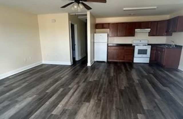 109a Ronald Pride - 109 Ronald Pride Blvd, Fort Valley, GA 31030
