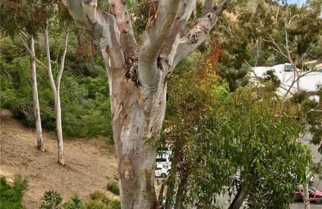 166 High Drive - 166 High Drive, Laguna Beach, CA 92651