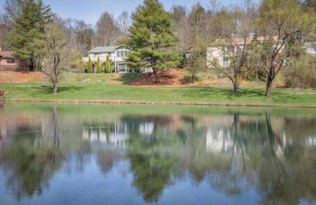 Remodeled Home in The Village at Avery's Creek Gallery 3