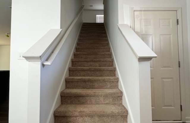 240 Chelsea Park Road Gallery 3