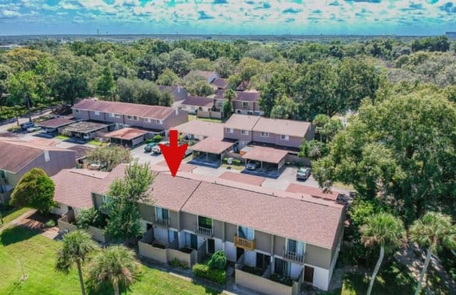 7908 CITRUS DRIVE - 7908 Citrus Drive, Temple Terrace, FL 33637
