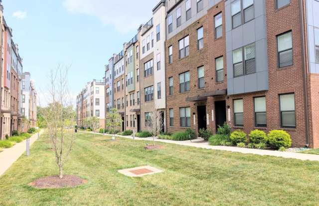 44615 WOLFHOUND Square photos photos