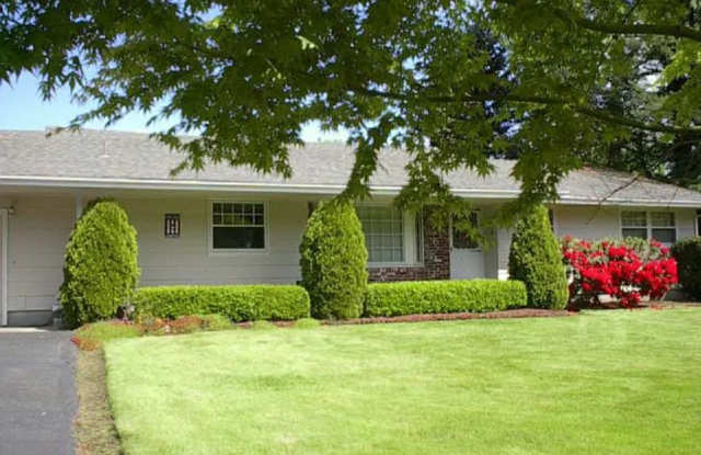 Spacious Yard and Home Gallery 3