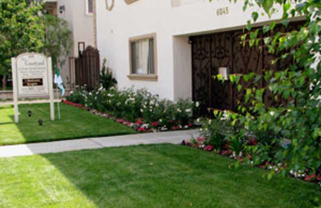 Summer All Year In This Small Building With a Pool! photos photos
