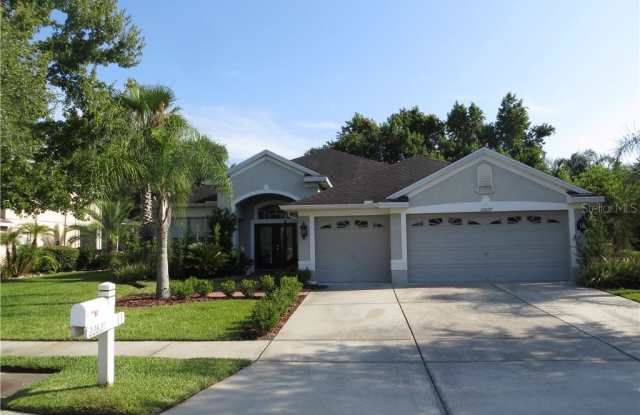 22827 EAGLES WATCH DRIVE - 22827 Eagles Watch Drive, Land O' Lakes, FL 34639