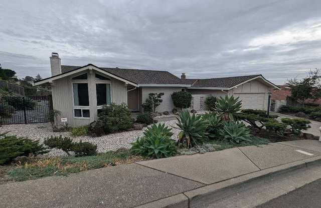 FANTASTIC 4 BEDROOM CASTRO VALLEY WOODLAND ESTATES HOME!! photos photos