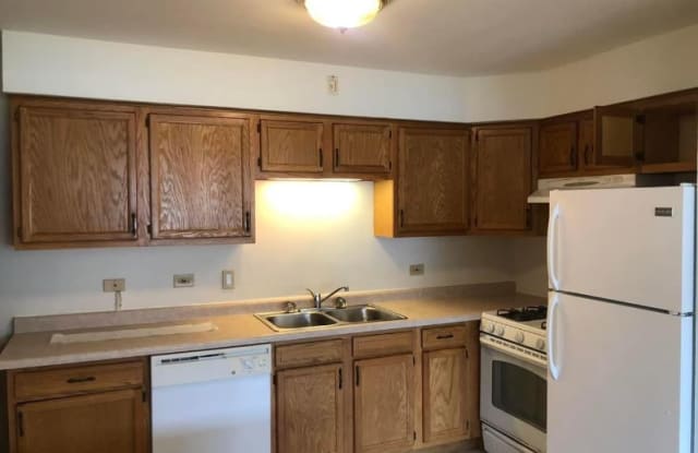 4409 Prescott Ave 1B - 4409 Prescott Avenue, Lyons, IL 60534