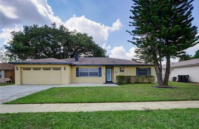 8922 Havasu Drive - 8922 Havasu Drive, Orange County, FL 32829
