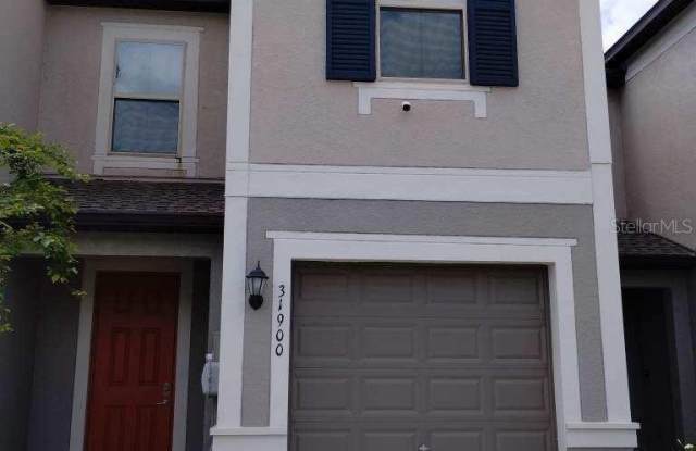 31900 BLUE PASSING LOOP - 31900 Blue Passing Loop, Wesley Chapel, FL 33545