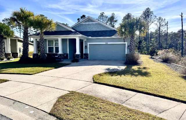 300 Foxtail Way - 300 Foxtail Way, Bay County, FL 32407