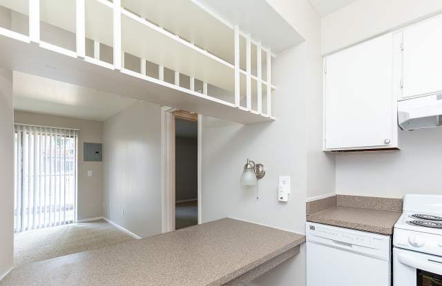Tivoli Apartments Gallery 2
