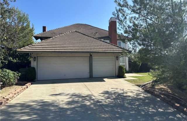 1228 Calle Vistaso photos photos