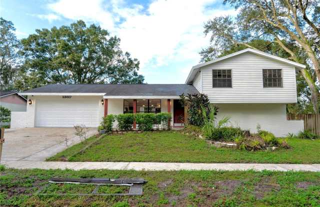 23817 Lake Walk Court - 23817 Lake Walk Court, Land O' Lakes, FL 33559