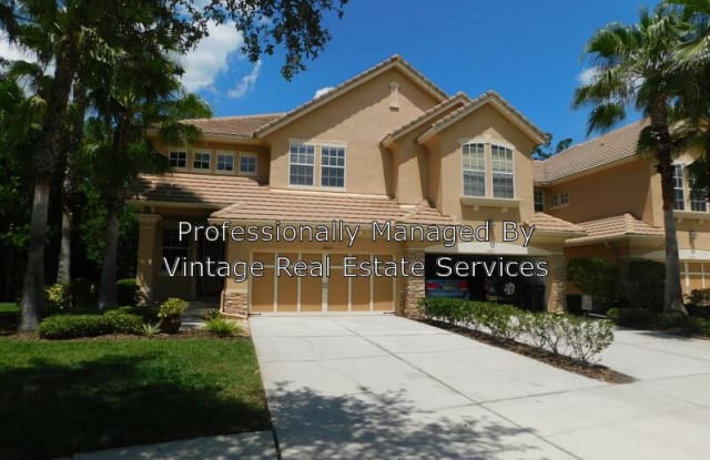 14607 Mirabelle Vista Cove - 14607 Mirabelle Vista Cir, Keystone, FL 33626