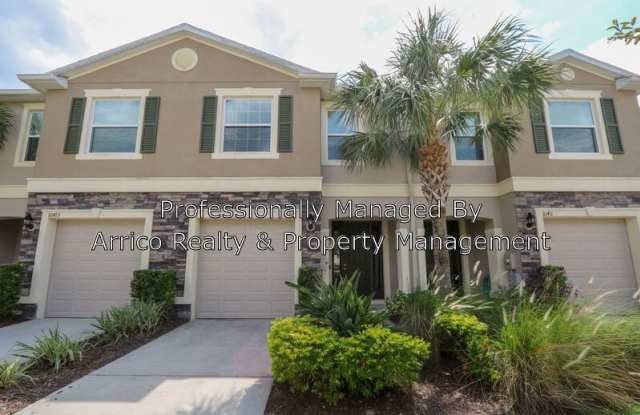 10413 Butterfly Wing Ct - 10413 Butterfly Wing Court, Riverview, FL 33578