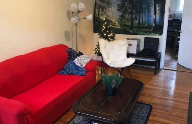 110 Lanark Road Unit A Room 1 - 110 Lanark Road, Boston, MA 02135 110 Lanark Road Unit A Room 1 - 110 Lanark Road, Boston, MA 02135