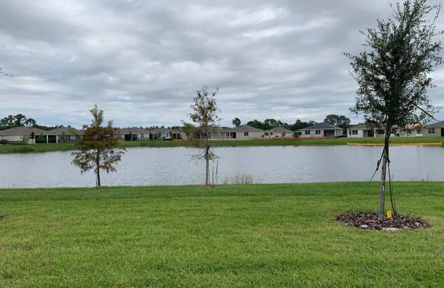 17841 Blazing Star Cir Clermont, FL  34714.  Four bedrooms space two bath space two car garage. photos photos