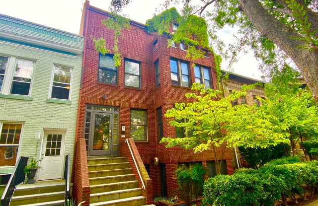 Dupont Circle 1 Bedroom Charmer with Patio, Fireplace, Central Air, Washer/Dryer! photos photos
