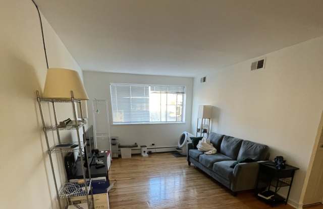 3510 N Pine Grove Ave - 3510 North Pine Grove Avenue, Chicago, IL 60657