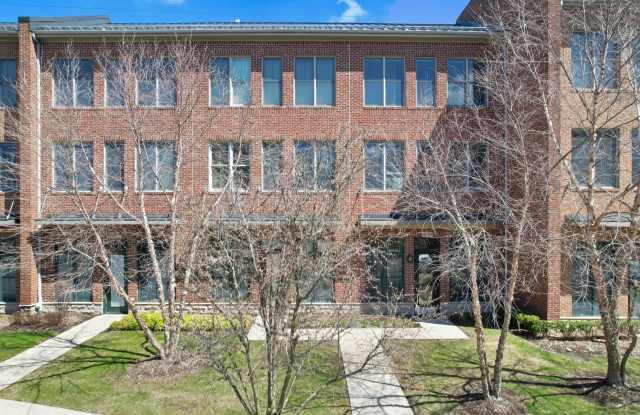 509 Lewis Street photos photos