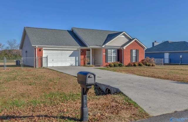 113 Delta Pine Drive - 113 Delta Pine Drive, Madison County, AL 35811