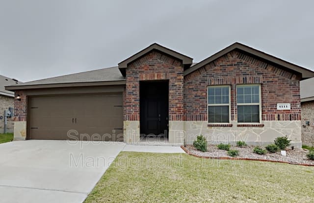 4111 Dunes Dr - 4111 Dunes Drive, Kaufman County, TX 75126
