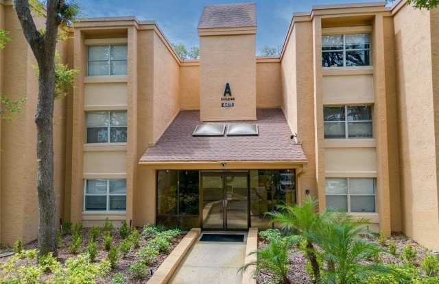 4411 Shady Terrace Lane - 4411 Shady Terrace Lane, Hillsborough County, FL 33613