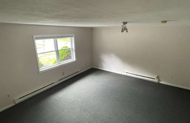 137 Pennsylvania Ave Unit A - 137 Pennsylvania Avenue, Binghamton, NY 13903