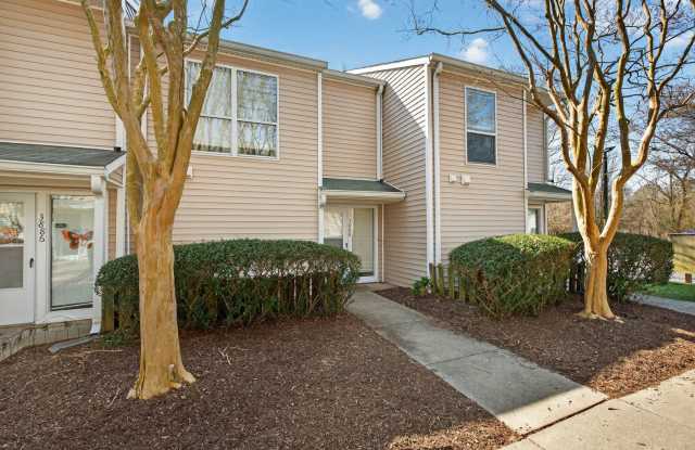 3888 Staffordshire photos photos