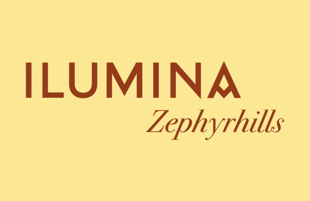 Ilumina Zephyrhills photos photos