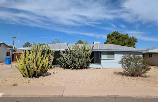 3818 East Yale Street - 3818 East Yale Street, Phoenix, AZ 85008