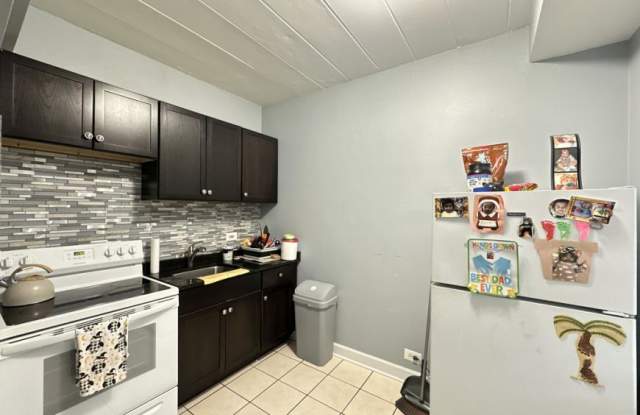 1358 Touhy Gallery 3
