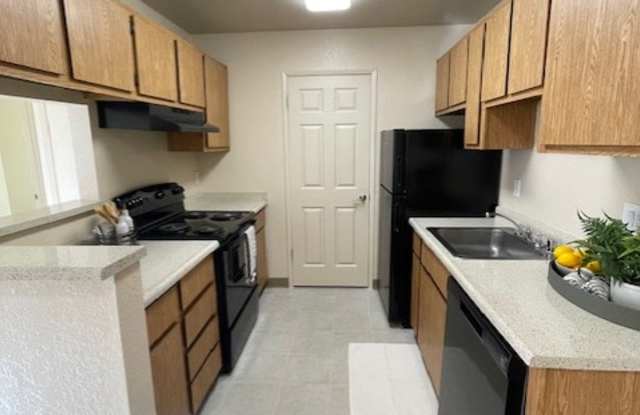 Live Oak photos photos Live Oak photos photos